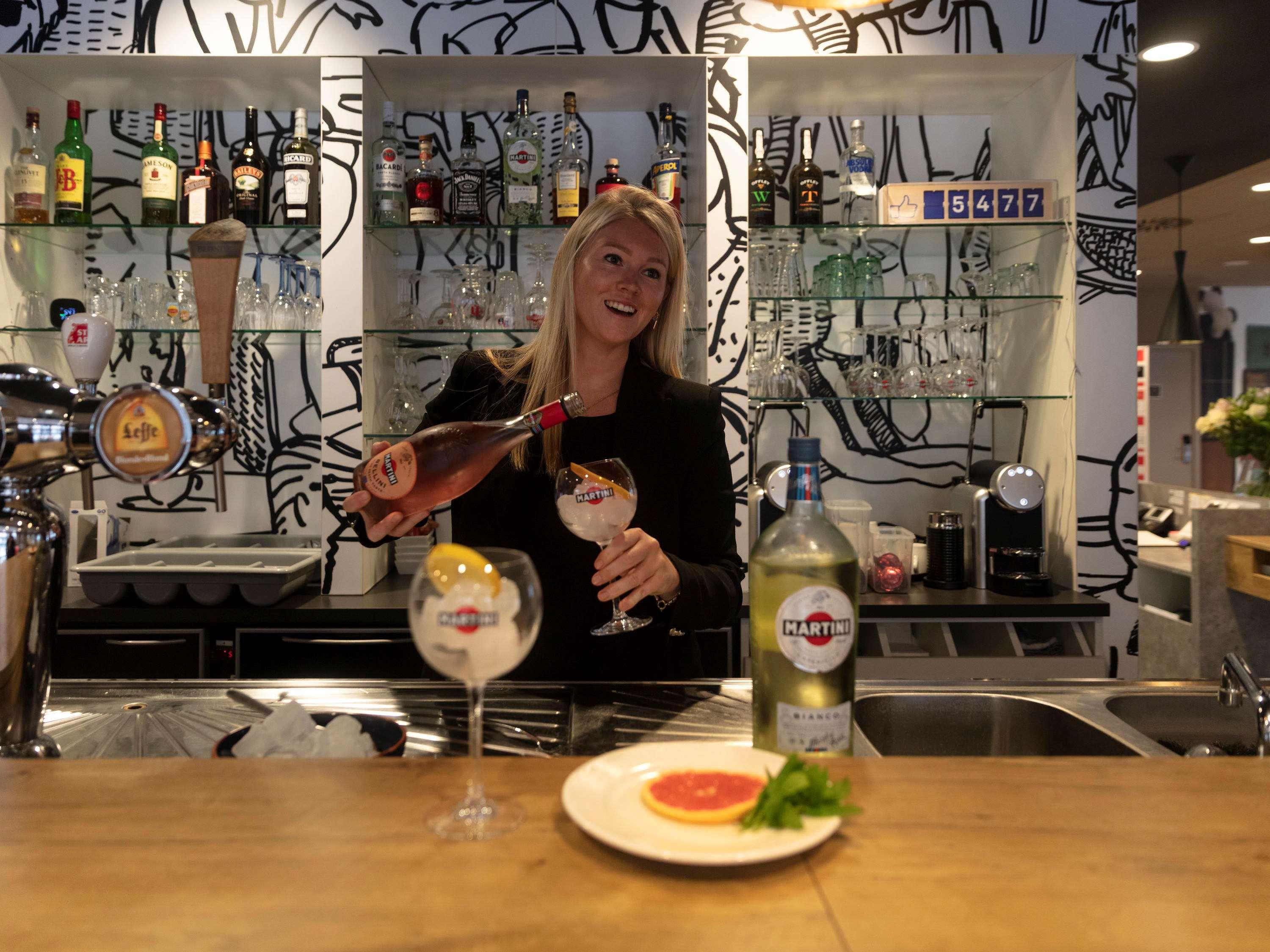 Ibis De Panne